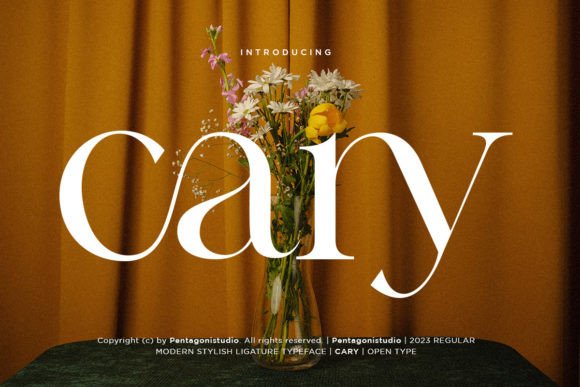 Cary: A Designer's Honest Review for Real-World Branding
