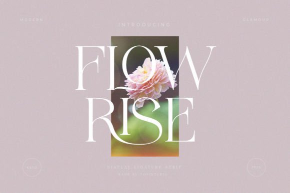 Flowrise: A Designer's Real-World Review