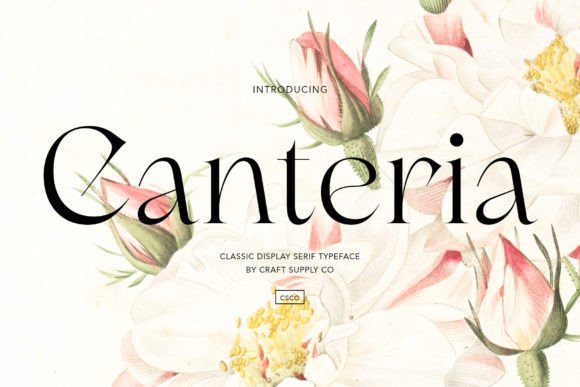 Why Canteria Is the Serif Font Your Editorial Design Needs